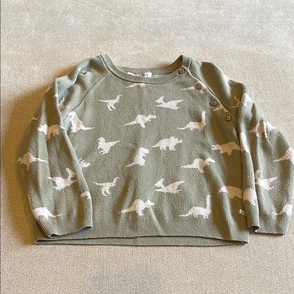 Posh Peanut “Buddy” Dinosaur Print Sweater